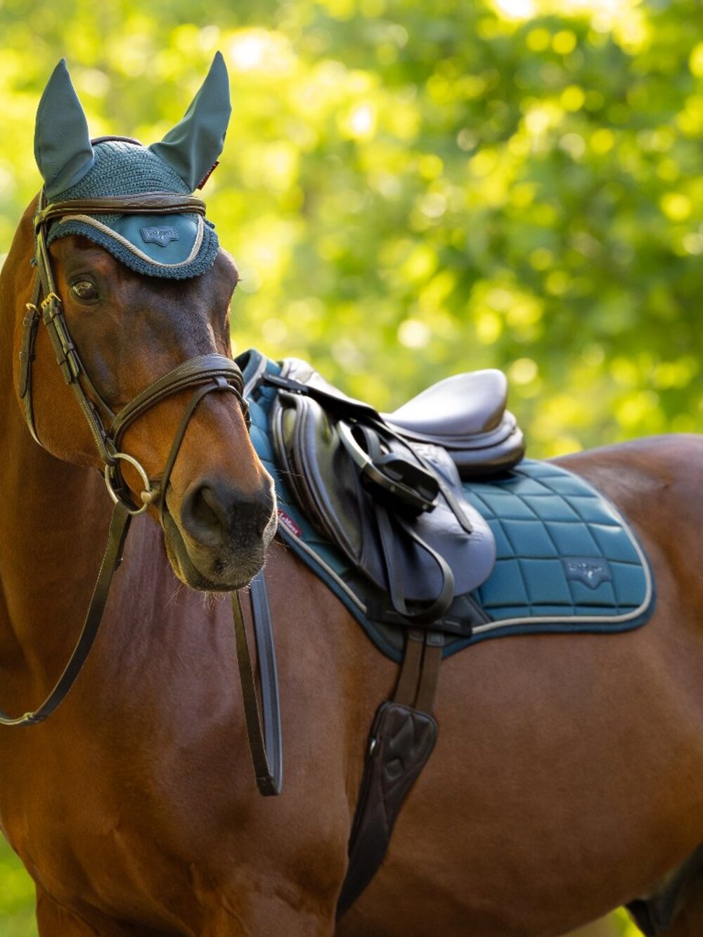 Loire Classic Close Contact Square Jungle - Large - NEW